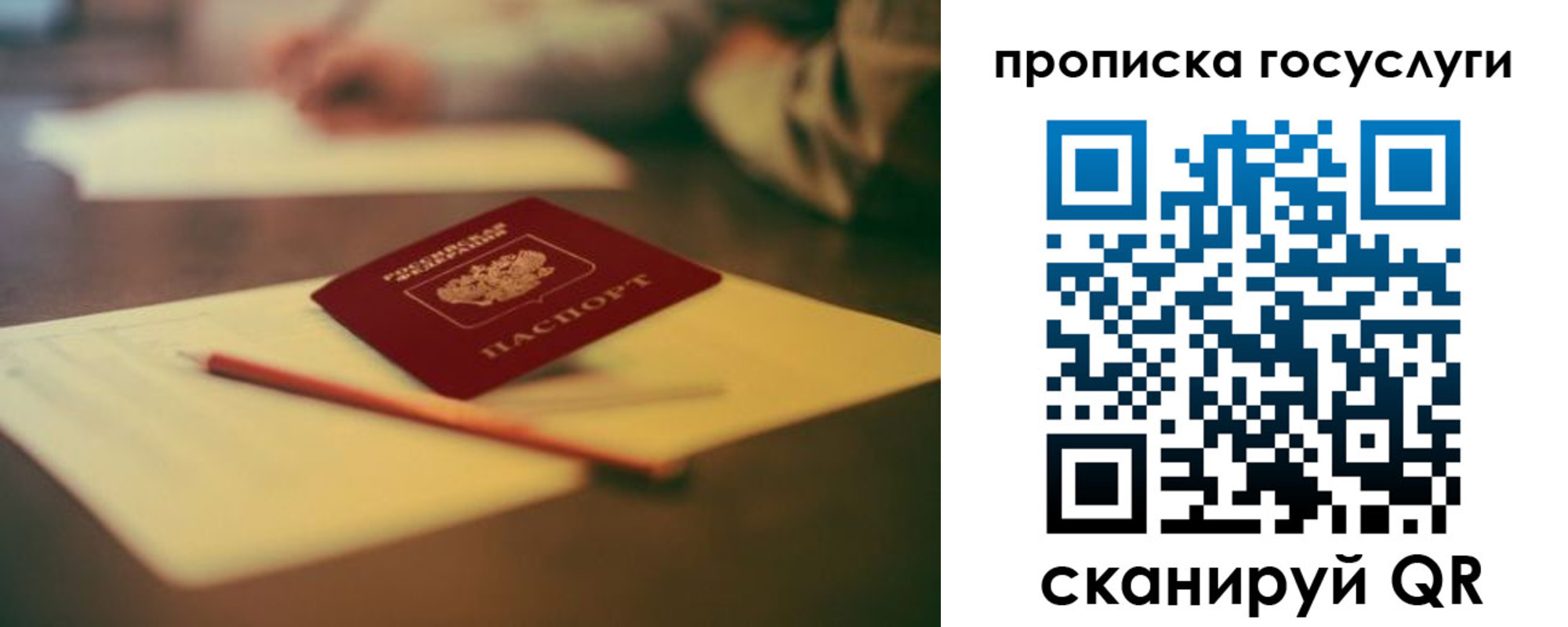 прописка для школы в Новочеркасске